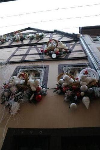 Bear on wall