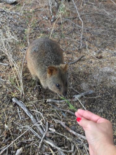 Snack time?